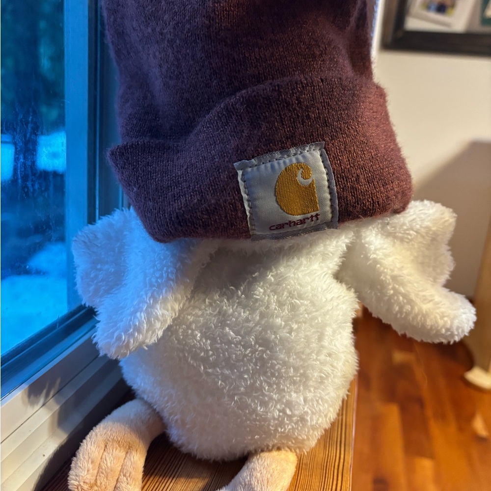 Carhartt Maroon Beanie +Bonus Hat